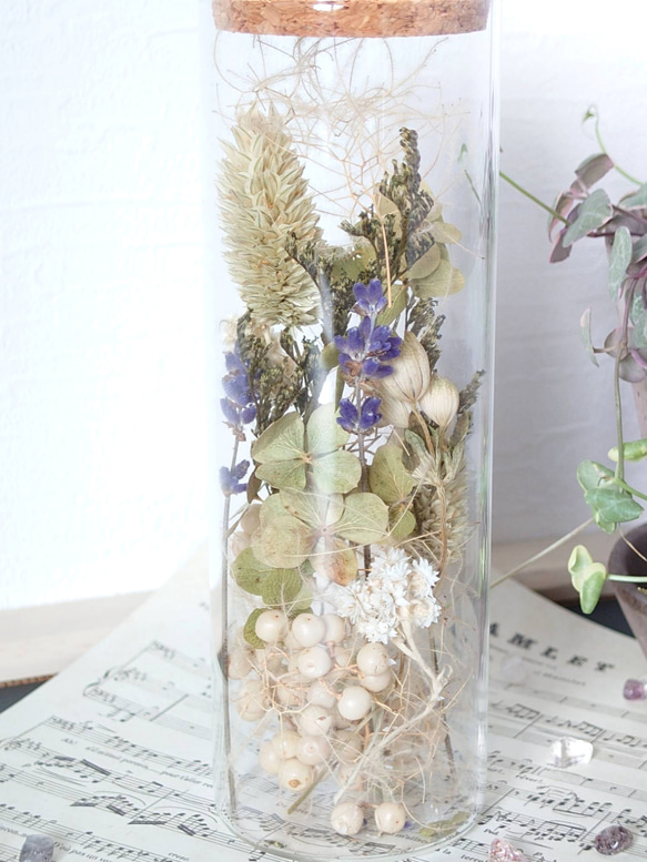 【DryFlower】ガラス瓶にあしらった花々  ‘’ボアプランツ‘’ 2枚目の画像