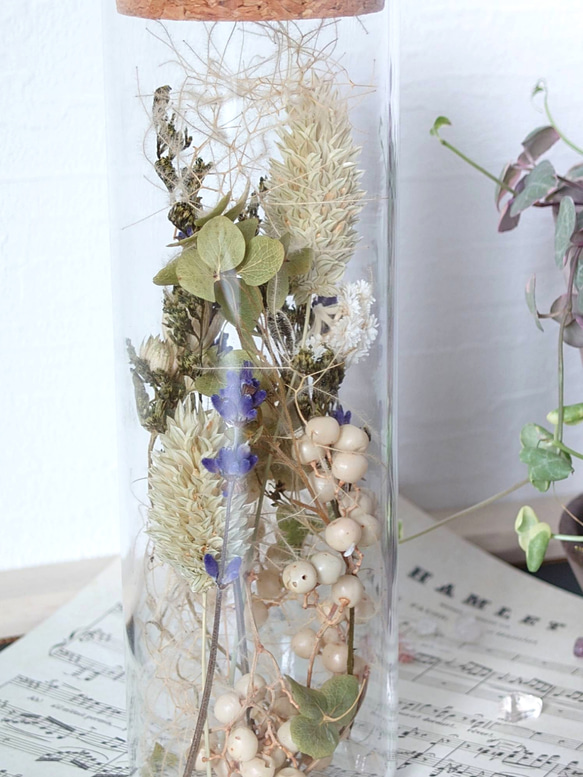 【DryFlower】ガラス瓶にあしらった花々  ‘’ボアプランツ‘’ 4枚目の画像