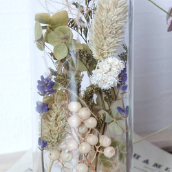 【DryFlower】ガラス瓶にあしらった花々  ‘’ボアプランツ‘’ 5枚目の画像