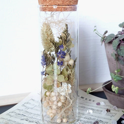【DryFlower】ガラス瓶にあしらった花々  ‘’ボアプランツ‘’ 1枚目の画像