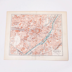 ハトの図版 アンティーク版画 マイヤー百科事典 ドイツ リトグラフ 鳩