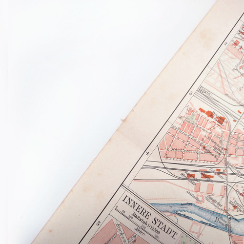 果物の図版 アンティーク 1907年 ドイツ マイヤー百科事典