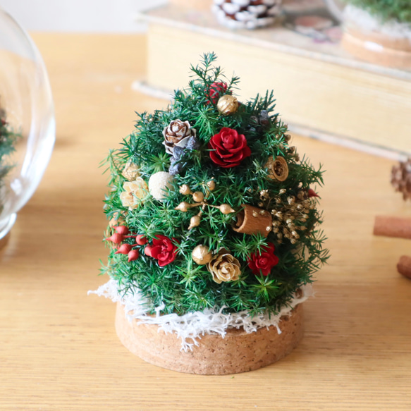 夢いっぱいの小さなクリスマスガラスドーム 3枚目の画像