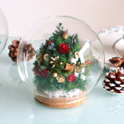 夢いっぱいの小さなクリスマスガラスドーム 8枚目の画像