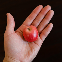 果物の革ブローチ（赤りんご/青りんご） 2枚目の画像