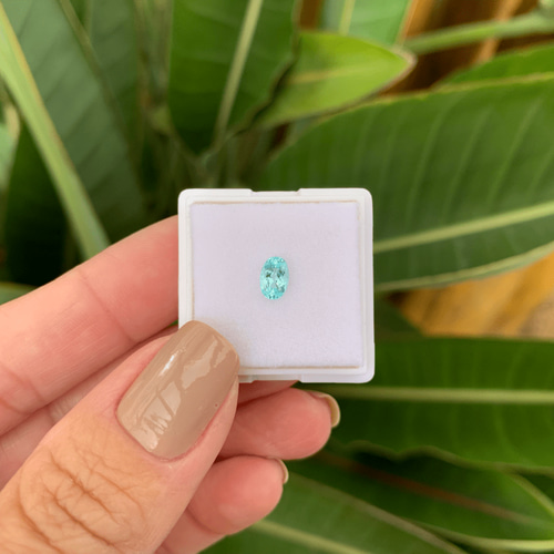 N.9045 美しすぎるパライバトルマリン 0.44Ct VVS 最高級のカラーと