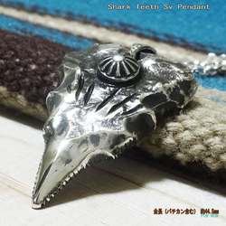 925　シャークティース　鮫の歯　太陽　shark teeth　シルバーペンダント　atpsharkt2 1枚目の画像