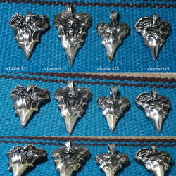 925　シャークティース　鮫の歯　太陽　shark teeth　シルバーペンダント　atpsharkt2 8枚目の画像