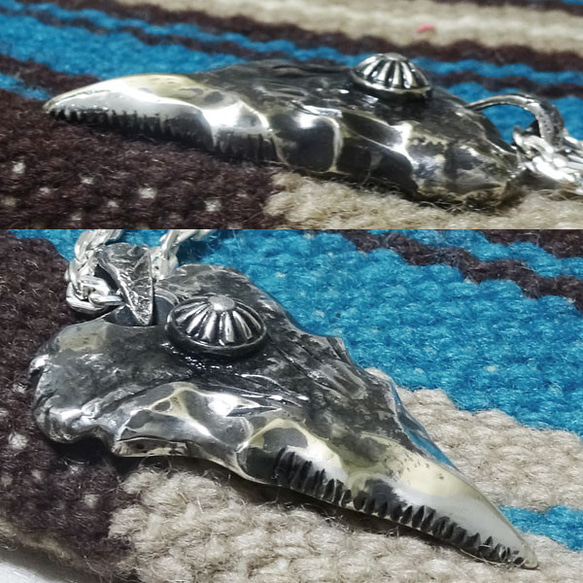 925　シャークティース　鮫の歯　太陽　shark teeth　シルバーペンダント　atpsharkt2 4枚目の画像