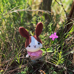かわいいモモウサギ　兎編みぐるみ　癒し系　楽しい夏モモ変装　ストラップ/バッグチャーム/置物 1枚目の画像