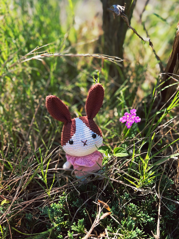あみぐるみ　Dセット　夏 0089361.jpg
