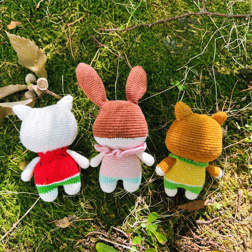 あみぐるみ　Cセット　夏 編み物キット 『野鳥シリーズのあみぐるみ H320-003-077