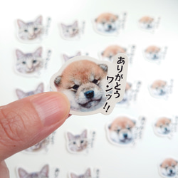 愛猫 愛犬 ありがとうシール　オーダーシール 9枚目の画像