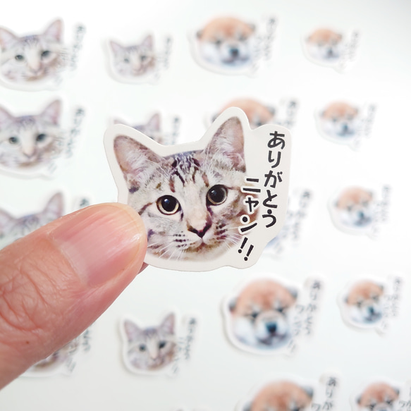 愛猫 愛犬 ありがとうシール　オーダーシール 7枚目の画像