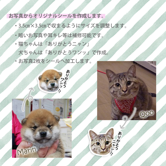 愛猫 愛犬 ありがとうシール　オーダーシール 3枚目の画像