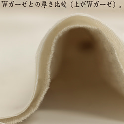 【以10cm為單位出售】京都桂川天然水曬乾皺棉麻2色圓點刺繡布料 第13張的照片