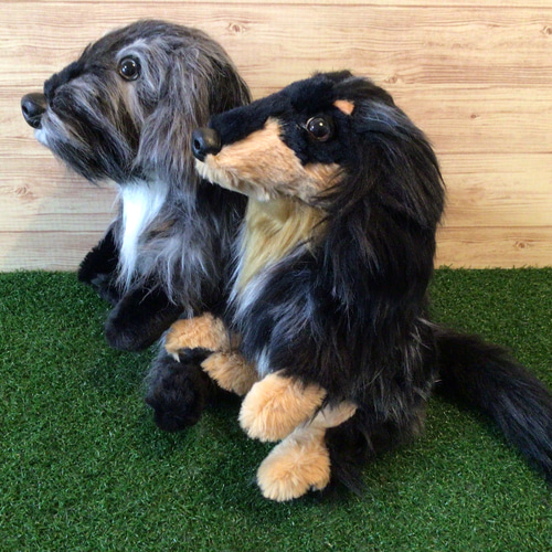 ミニチュアダックス（オーダー品） t様愛犬ちゃんオーダーメイド品(ミニチュアダックスフンド