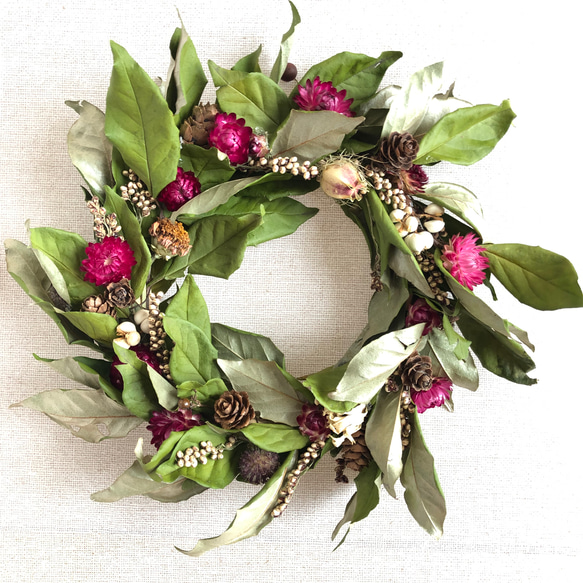 ドライフラワーグミの葉っぱの秋リース リース Rest garden 通販