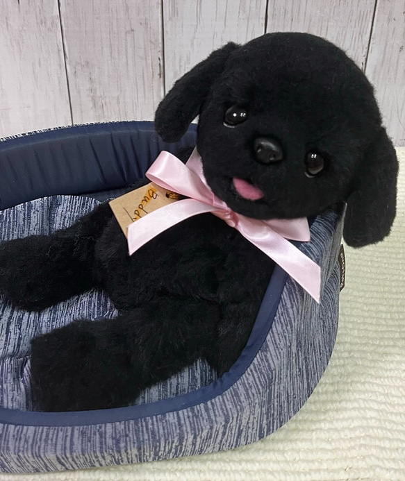 ヘアピンが似合うワンワン 犬 アーティストベア ぬいぐるみ 海外作家様