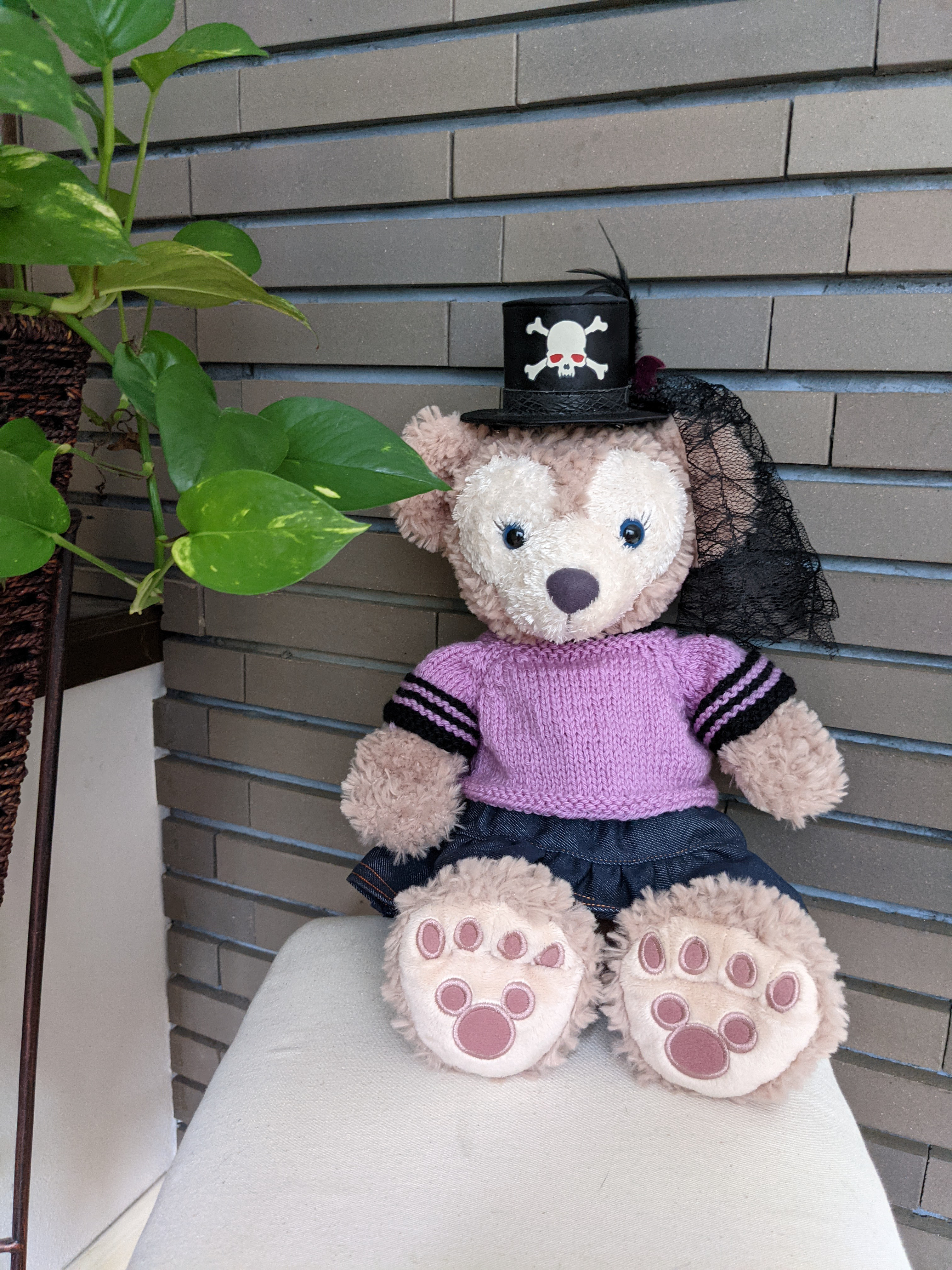 テディ　ハロウィン限定