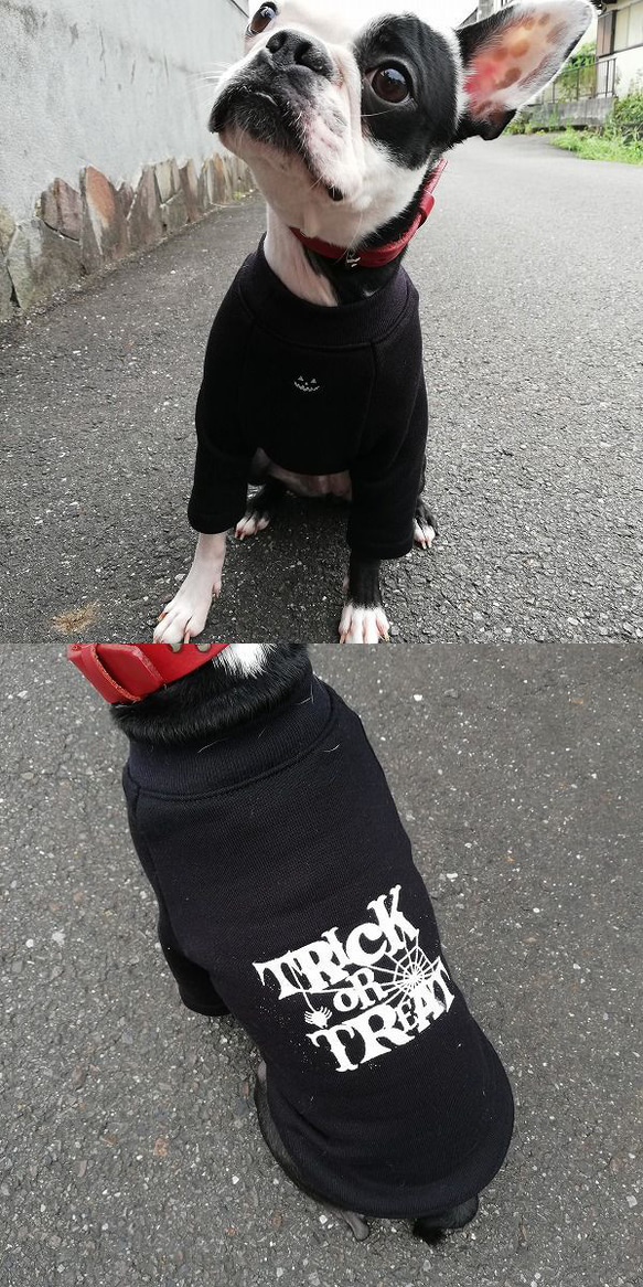 犬服オリジナル・限定・ハロウィン・trick or treatプリント黒トレーナー地袖付Tシャツhw001 2枚目の画像
