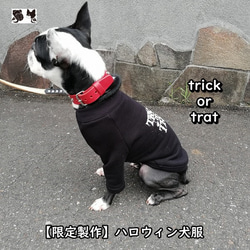 犬服オリジナル・限定・ハロウィン・trick or treatプリント黒トレーナー地袖付Tシャツhw001 1枚目の画像