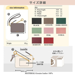  第3張的照片