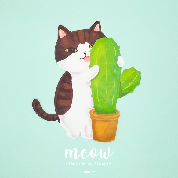 Meow一套4款貓貓造型明信片 第4張的照片