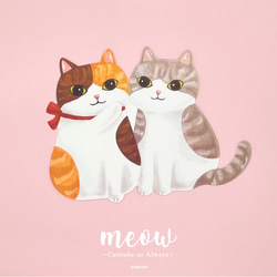 Meow一套4款貓貓造型明信片 第5張的照片