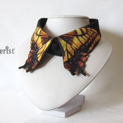 蝶々付け衿:アゲハ蝶−残懐– 1枚目の画像