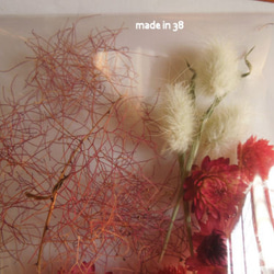 ドライフラワー ラグラス　スモークツリー　貝細工　千日紅　ヘッド　花材　材料　リース　サシェ　キャンドル 4枚目の画像