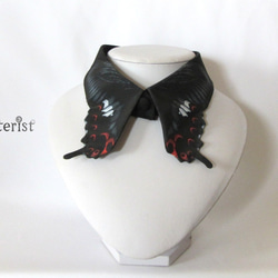 蝶々付け衿:モンキアゲハ 2枚目の画像