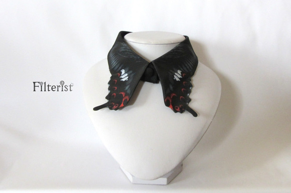 蝶々付け衿:モンキアゲハ 2枚目の画像