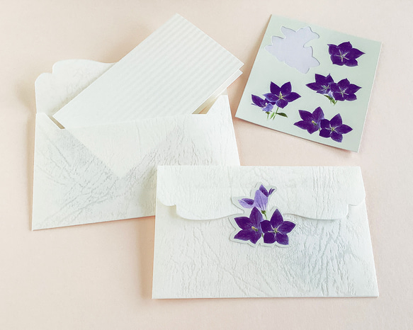キキョウの二つ折りメッセージカード＆ダイカットミニ封筒　2種 11枚目の画像