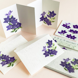 キキョウの二つ折りメッセージカード＆ダイカットミニ封筒　2種 1枚目の画像