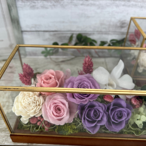 ガラスケース入り プリザーブドフラワー ピンク&ラベンダー