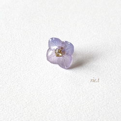 再販5【rie.t】本物の紫陽花　ピアス／イヤリング 2枚目の画像