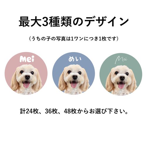 うちの子シール アイコン使用OK お名前入り おもちゃ・ペット小物