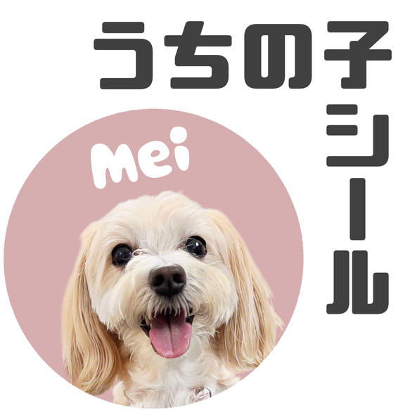 ちっち様確認用 ゆうゆう⇄らくらくメルカリ便】ゆんちっち様ご