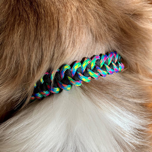 パラコード スネークレインボー首輪&ラメブラックリード