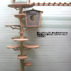オリジナル大型流木キャットタワー pk54 10枚目の画像
