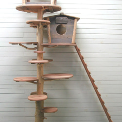 オリジナル大型流木キャットタワー pk55 2枚目の画像