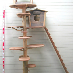 オリジナル大型流木キャットタワー pk55 3枚目の画像