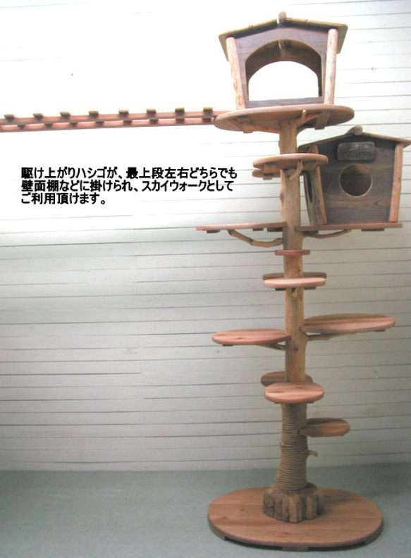オリジナル大型流木キャットタワー pk55 9枚目の画像