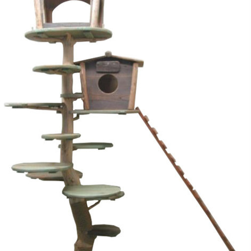 流木キャットタワー・高さ183cm