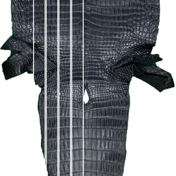 日本製　クロコダイル　上質　チタン金具　ボンベ加工　30㎜巾　ベルト　エキゾチックレザー 9枚目の画像