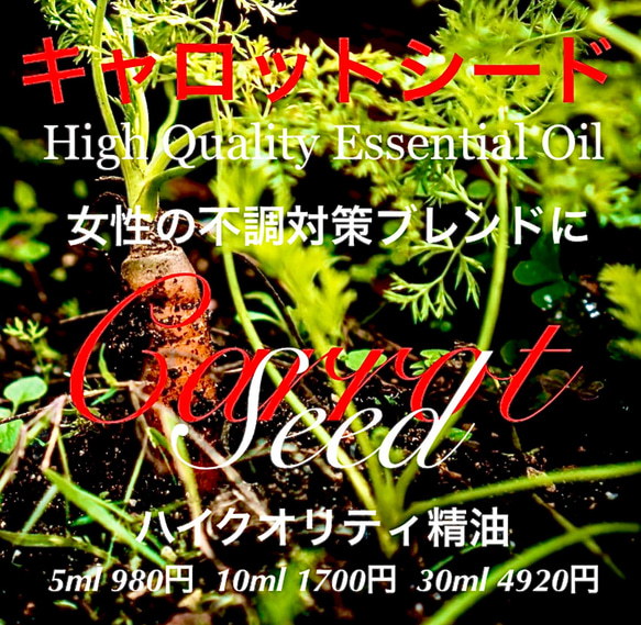キャロットシード　5ml キャロットシード精油5ml その他素材 EarthshareAroma 通販