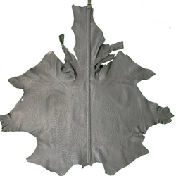 日本製　クライン・カルー　オーストリッチ　3Lサイズ　３５㎜巾　ベルト　本無双　真鍮磨き上げ金具　エキゾチックレザー 9枚目の画像