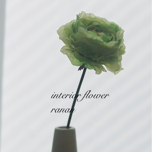 gift flower❁✿✾ ずっと咲いているラナンキュラス1輪刺し❀.* アート