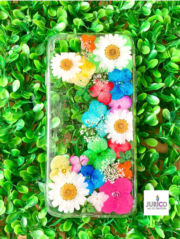紫陽花とノースポールのカラフル押し花スマホケース 紫陽花